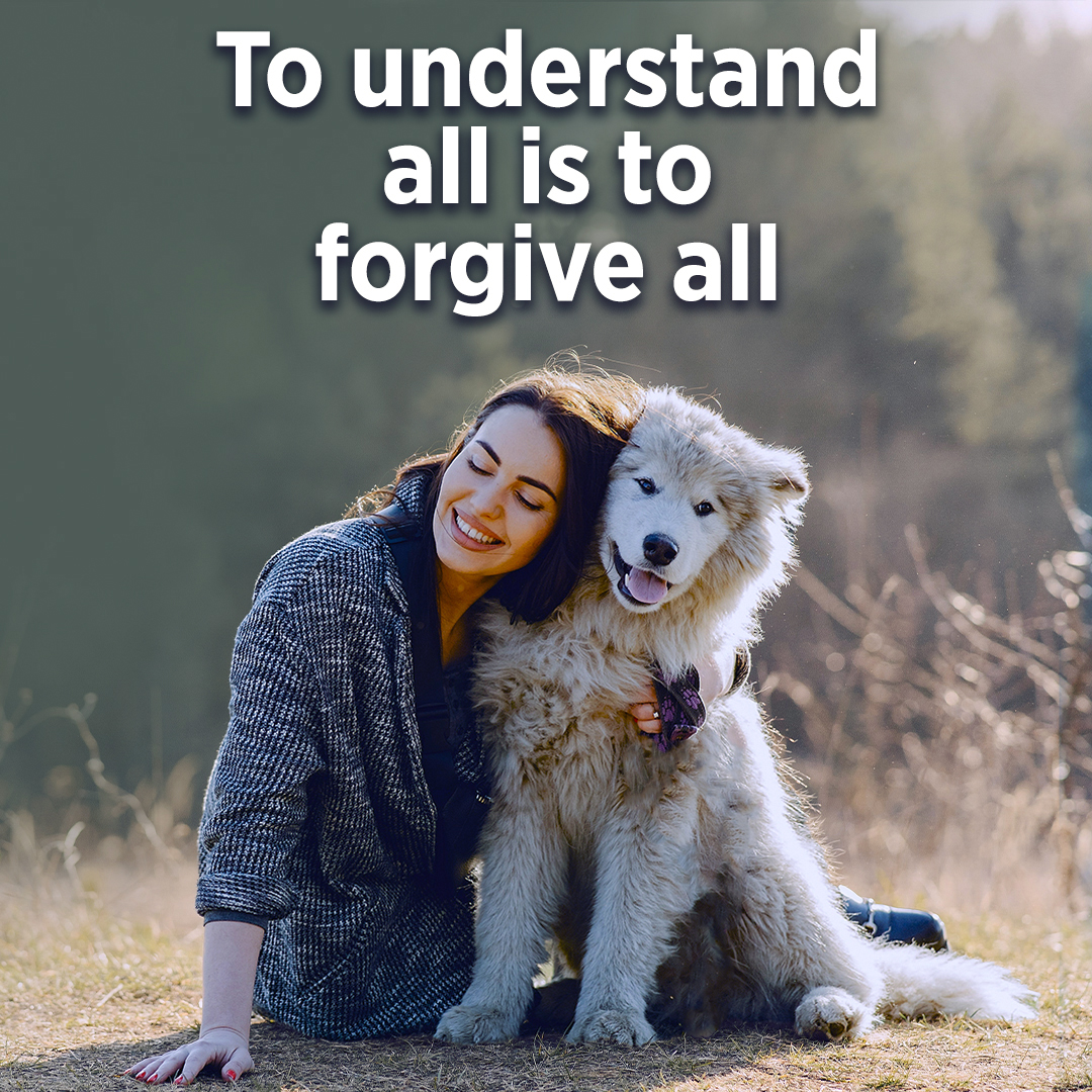 To Understand All is to Forgive All